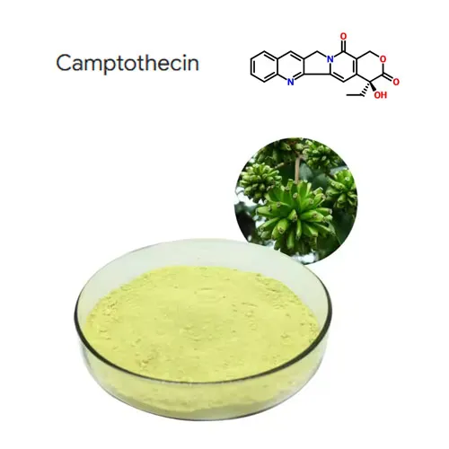 उच्च शुद्धता 98% Camptothecin प्लांट एक्सट्रैक्ट पाउडर कैस 7689-03-4